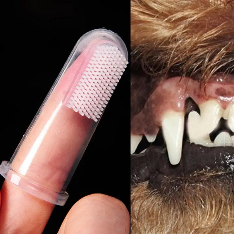 Escova Dental Pet